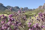 Big Bend National Park