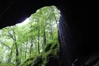 Mammoth Cave National Park