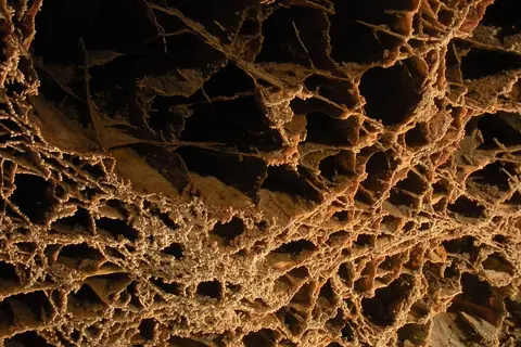 Wind Cave National Park
